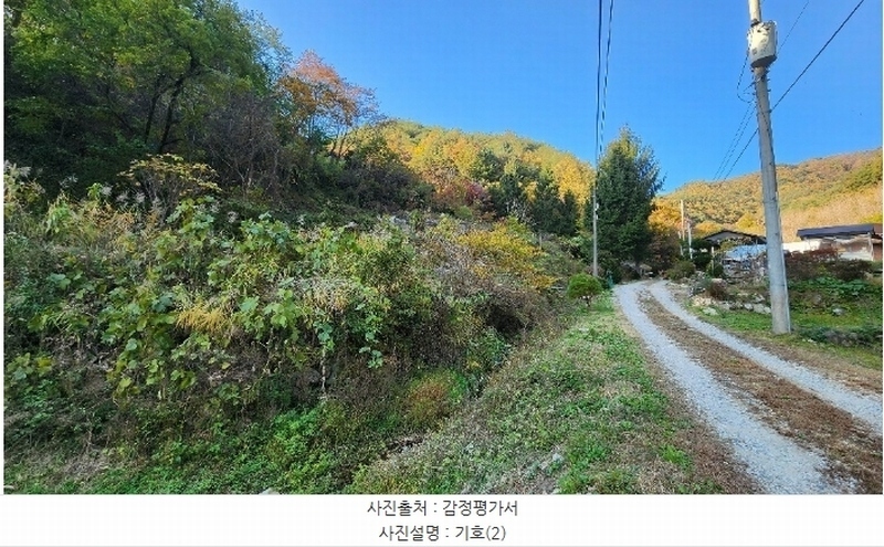 2024타경405699 강원특별자치도 원주시 신림면 성남리 75-1 농지 경매 이미지