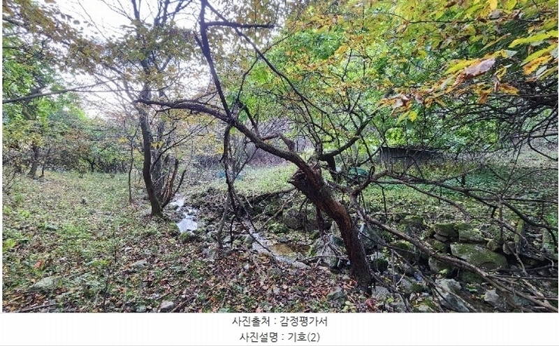 2024타경405699 강원특별자치도 원주시 신림면 성남리 75-1 농지 경매 이미지