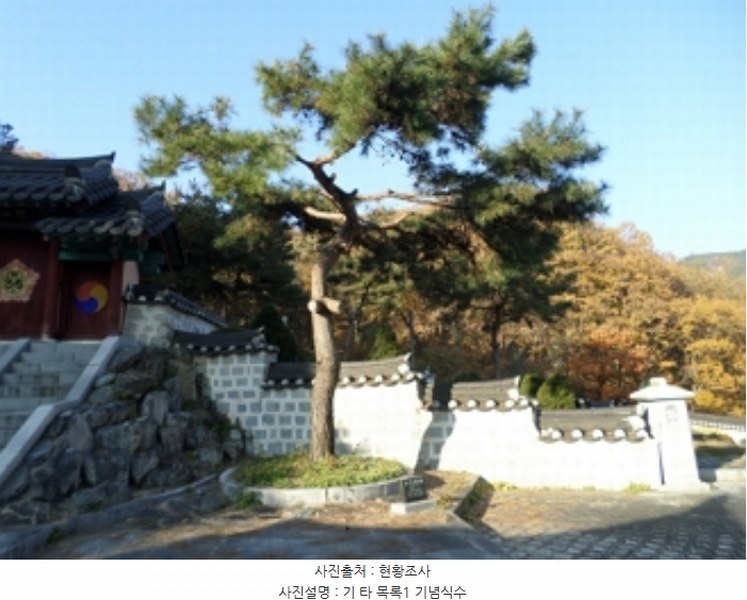 2024타경406043 강원특별자치도 원주시 흥업면 사제리 1043-7 임야 경매 이미지