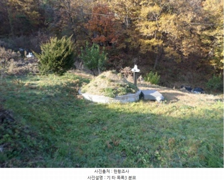2024타경406043 강원특별자치도 원주시 흥업면 사제리 1043-7 임야 경매 이미지