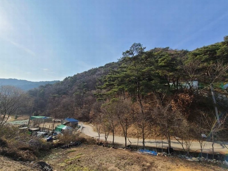 2024타경406258 강원특별자치도 원주시 귀래면 귀래리 산102-9 임야 경매 이미지