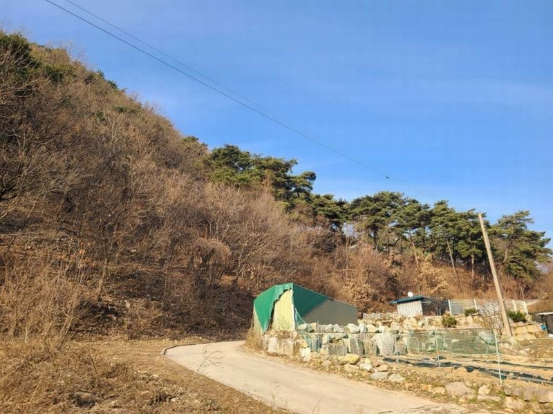 2024타경406258 강원특별자치도 원주시 귀래면 귀래리 산102-9 임야 경매 이미지