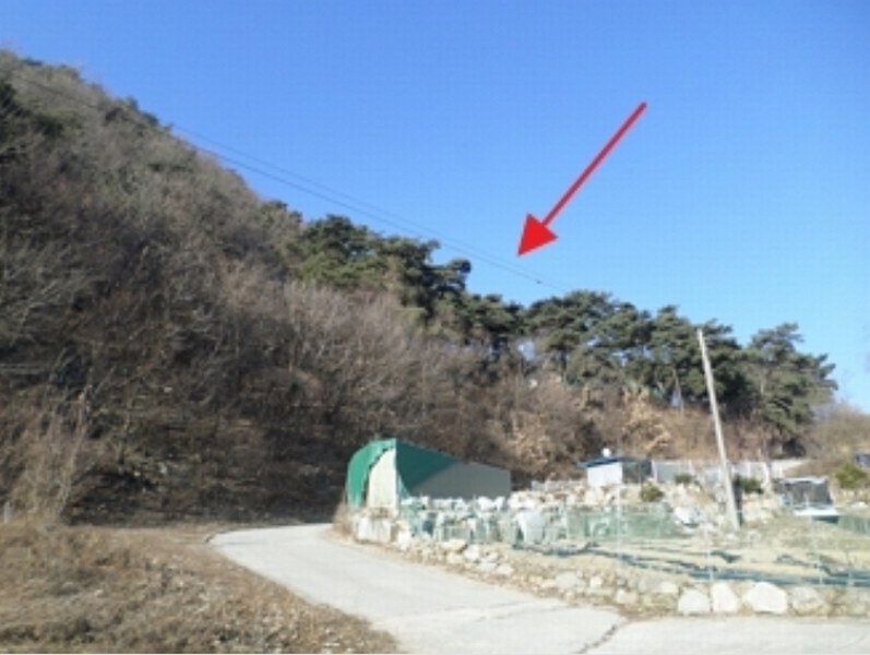 2024타경406258 강원특별자치도 원주시 귀래면 귀래리 산102-9 임야 경매 이미지