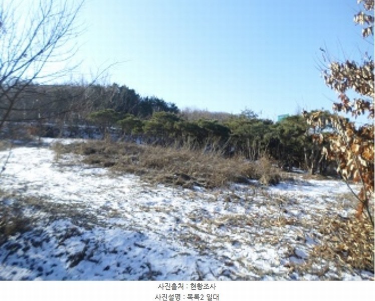 2024타경406425 강원특별자치도 횡성군 횡성읍 추동리 48-3 농지 경매 이미지