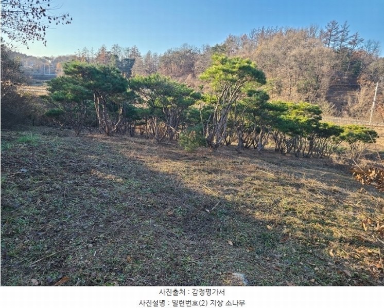 2024타경406425 강원특별자치도 횡성군 횡성읍 추동리 48-3 농지 경매 이미지