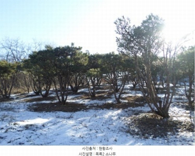 2024타경406425 강원특별자치도 횡성군 횡성읍 추동리 48-3 농지 경매 이미지