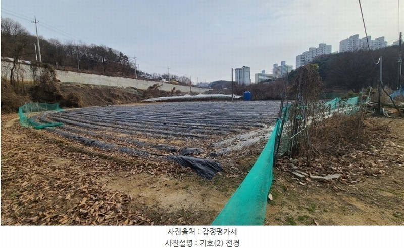 2024타경406609 강원특별자치도 원주시 태장동 164-3 농지 경매 이미지