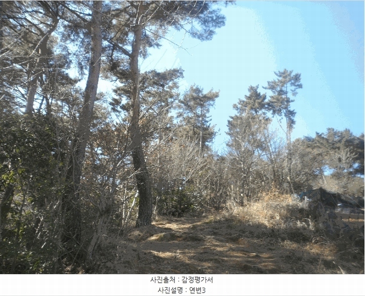 2025타경206 경상남도 통영시 북신동 309-2 임야 경매 이미지