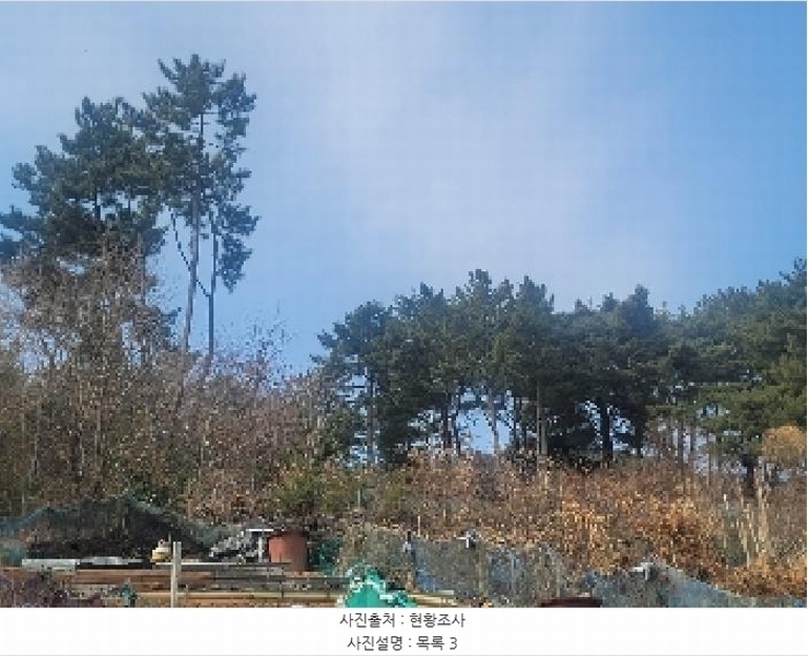 2025타경206 경상남도 통영시 북신동 309-2 임야 경매 이미지