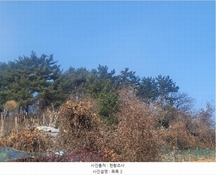 2025타경206 경상남도 통영시 북신동 309-2 임야 경매 이미지
