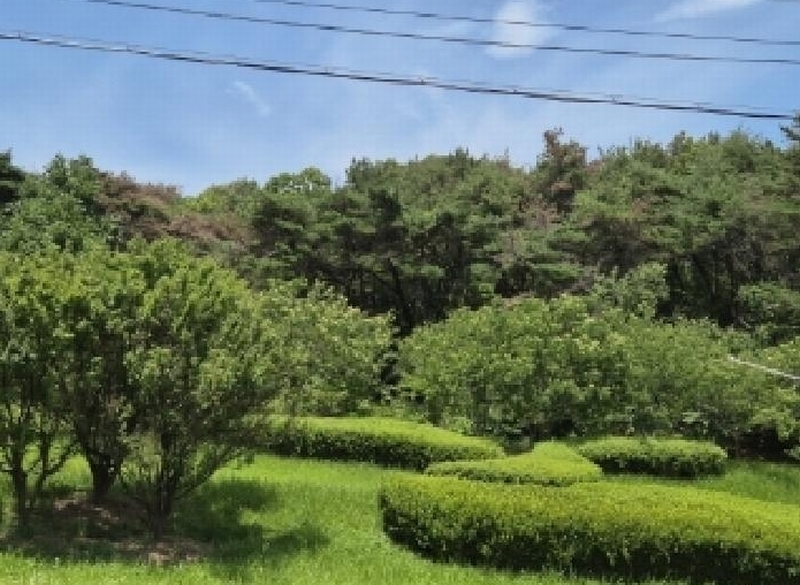 2025타경404 경상북도 포항시 남구 구룡포읍 병포리 산24-4 임야 경매 이미지