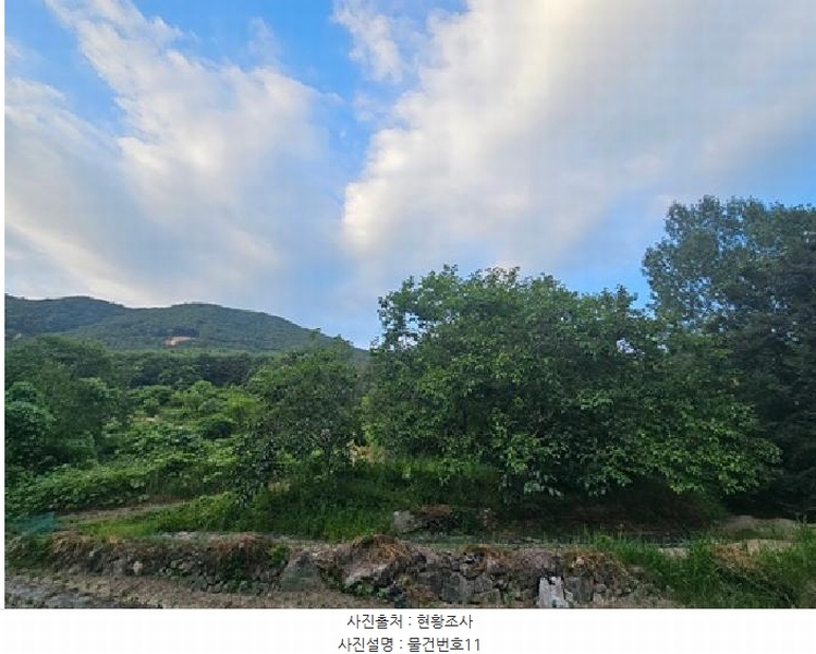 2025타경718 경상남도 하동군 북천면 화정리 산287 임야 경매 이미지
