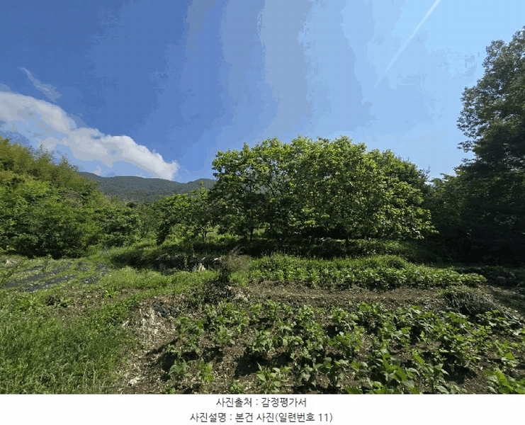 2025타경718 경상남도 하동군 북천면 화정리 산287 임야 경매 이미지