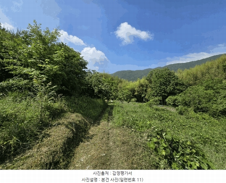 2025타경718 경상남도 하동군 북천면 화정리 산287 임야 경매 이미지