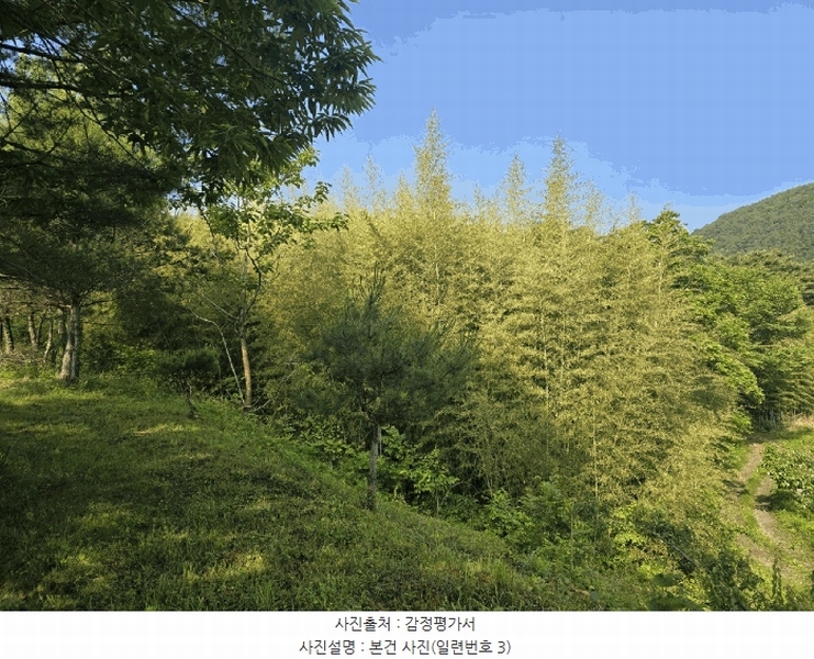 2025타경718 경상남도 하동군 북천면 화정리 산287 임야 경매 이미지