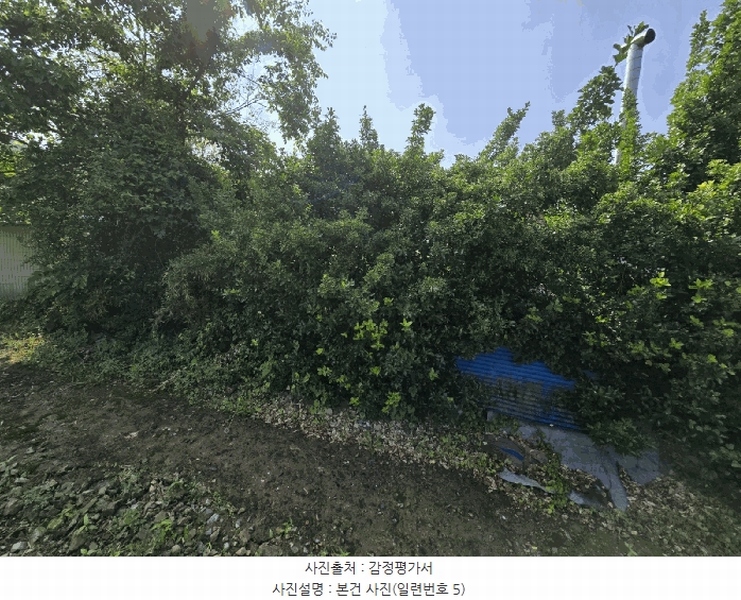 2025타경718 경상남도 하동군 북천면 화정리 산287 임야 경매 이미지