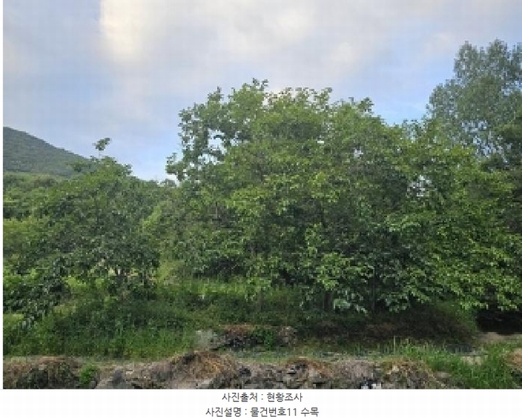 2025타경718 경상남도 하동군 북천면 화정리 산287 임야 경매 이미지