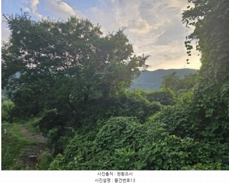 2025타경718 경상남도 하동군 북천면 화정리 산287 임야 경매 이미지