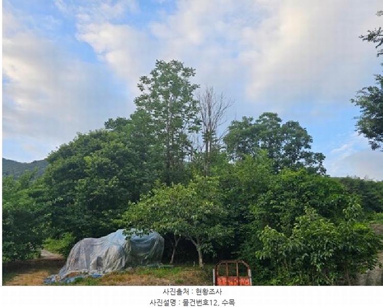 2025타경718 경상남도 하동군 북천면 화정리 산287 임야 경매 이미지