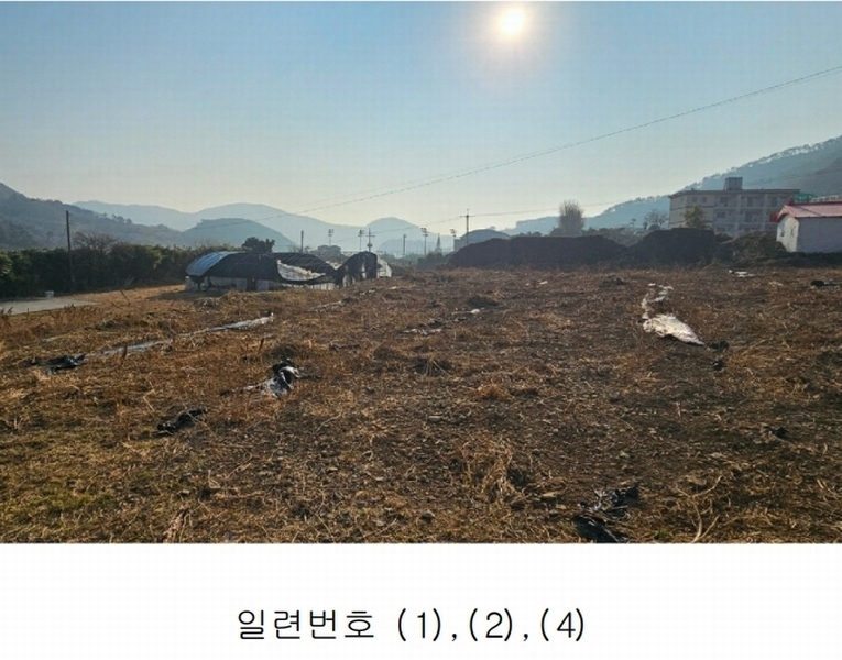 2025타경20231 경상남도 통영시 욕지면 동항리 769-4 농지 경매 이미지