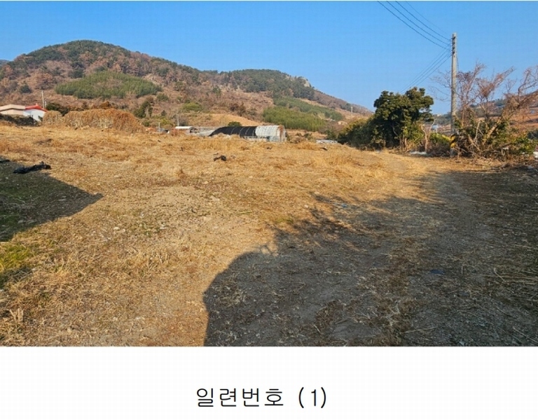 2025타경20231 경상남도 통영시 욕지면 동항리 769-4 농지 경매 이미지
