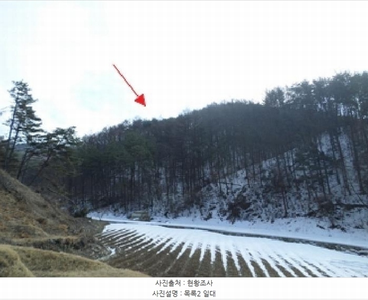 2025타경20466 강원특별자치도 횡성군 청일면 유동리 산53 임야 경매 이미지