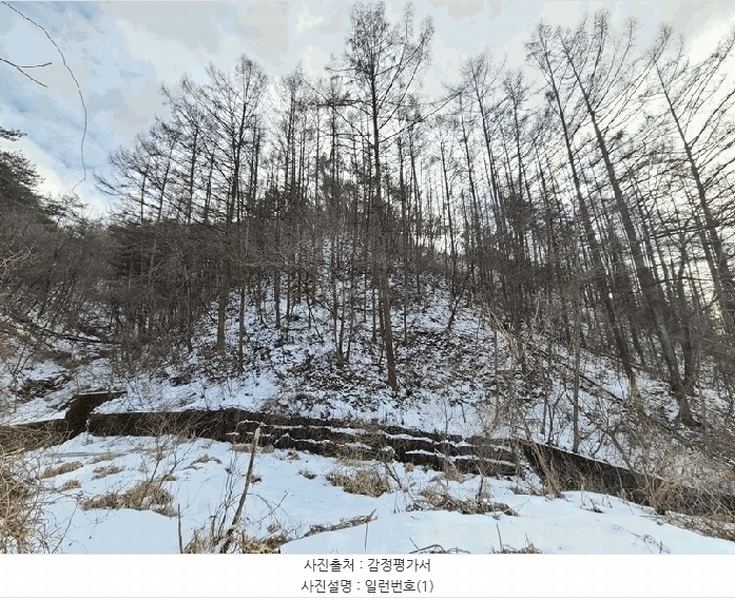 2025타경20466 강원특별자치도 횡성군 청일면 유동리 산53 임야 경매 이미지