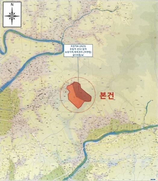2025타경20466 강원특별자치도 횡성군 청일면 유동리 산53 임야 경매 이미지