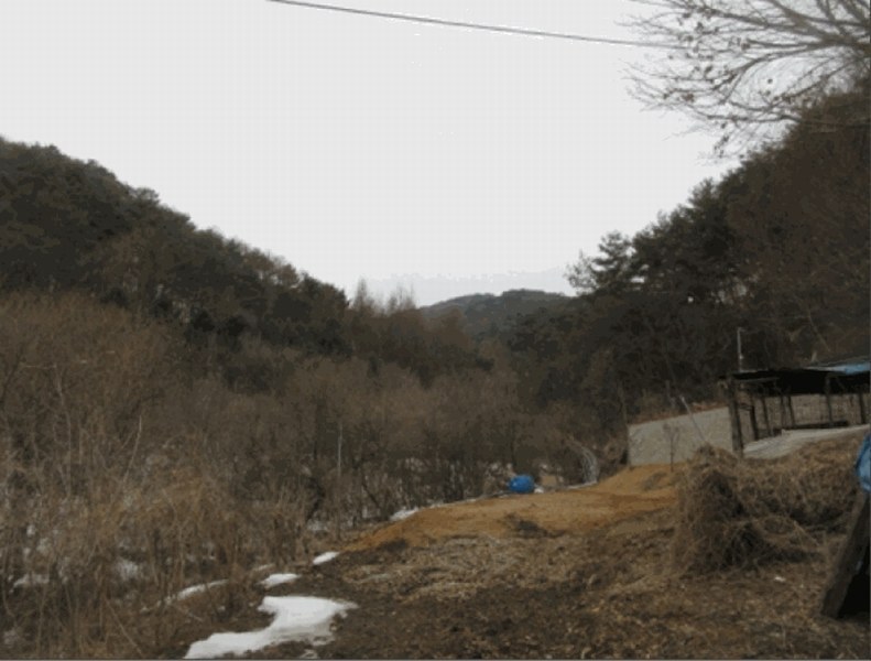 2025타경20499 강원특별자치도 횡성군 안흥면 안흥리 970 농지 경매 이미지