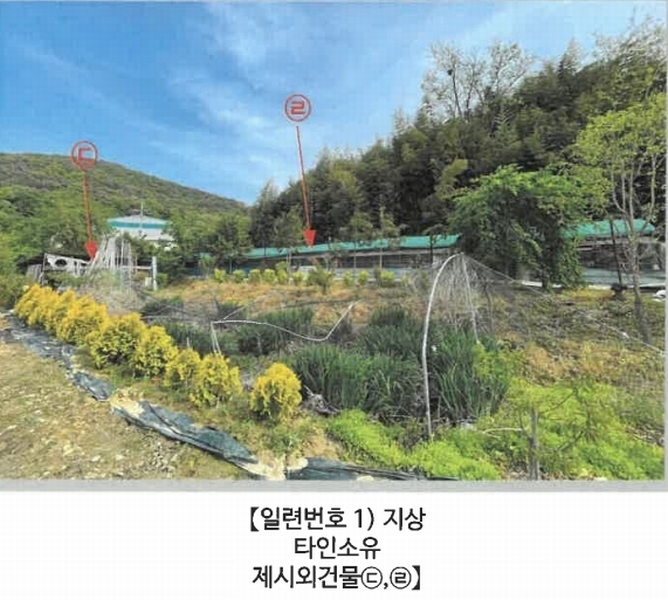 2025타경20534 경상남도 함안군 대산면 서촌리 산70 임야 경매 이미지