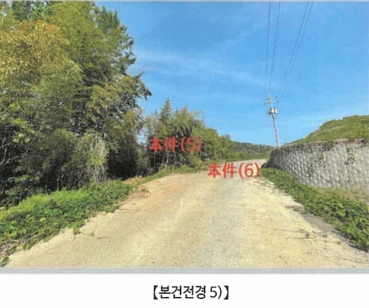 2025타경20534 경상남도 함안군 대산면 서촌리 산70 임야 경매 이미지