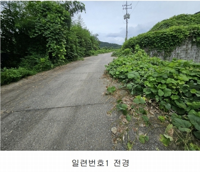 2025타경20534 경상남도 함안군 대산면 서촌리 산70 임야 경매 이미지