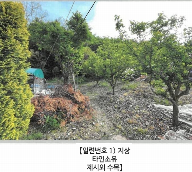 2025타경20534 경상남도 함안군 대산면 서촌리 산70 임야 경매 이미지