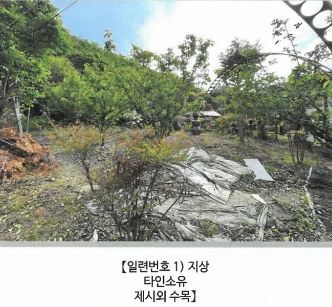 2025타경20534 경상남도 함안군 대산면 서촌리 산70 임야 경매 이미지