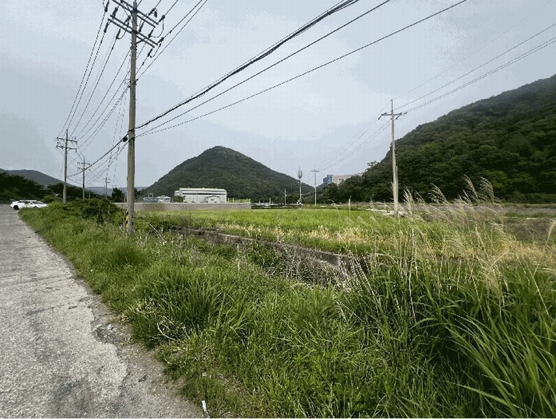2025타경20565 경상남도 창원시 마산합포구 진동면 인곡리 954 농지 경매 이미지