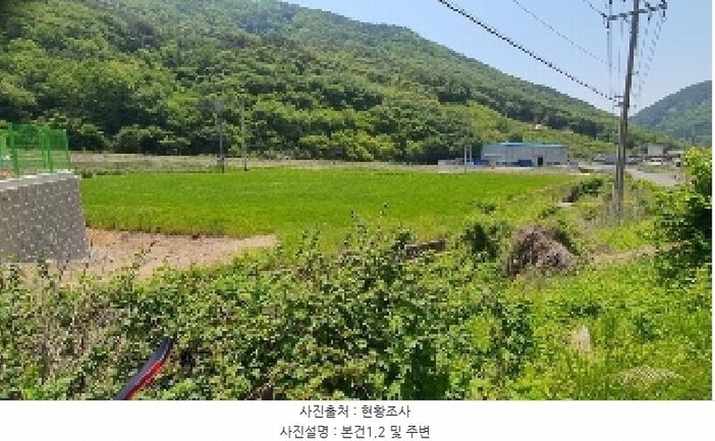2025타경20565 경상남도 창원시 마산합포구 진동면 인곡리 954 농지 경매 이미지