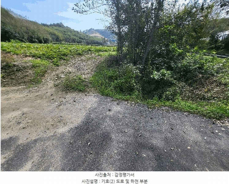 2025타경20573 강원특별자치도 횡성군 횡성읍 반곡리 516 농지 경매 이미지