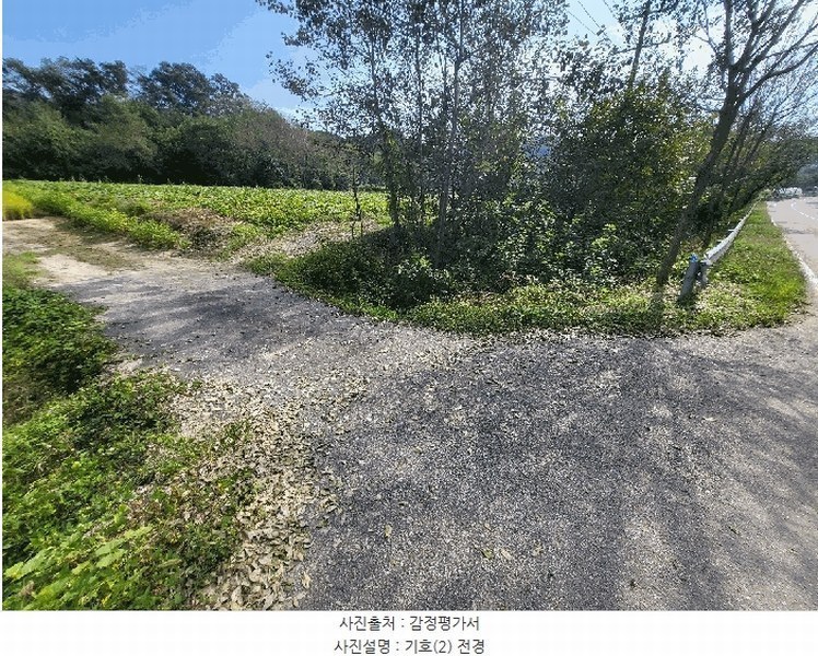 2025타경20573 강원특별자치도 횡성군 횡성읍 반곡리 516 농지 경매 이미지