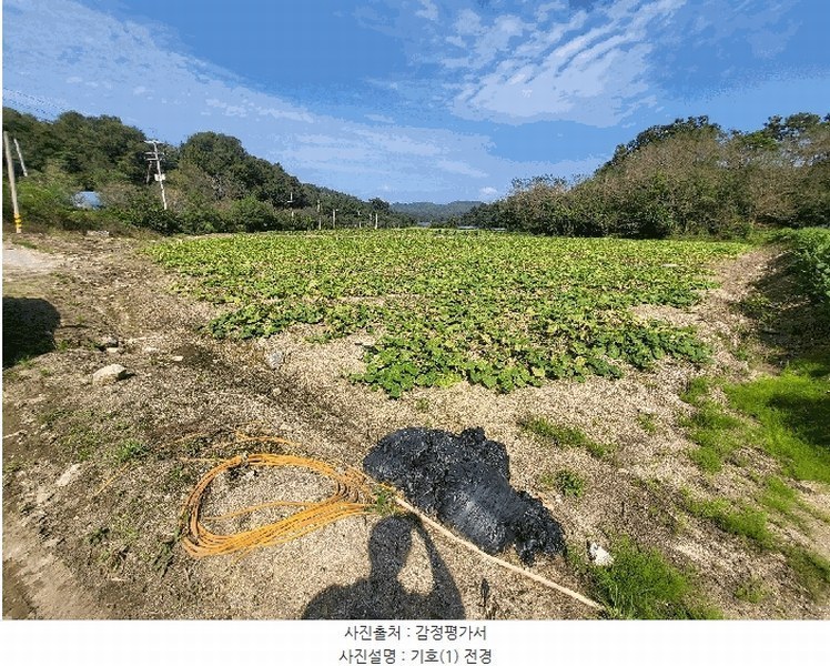 2025타경20573 강원특별자치도 횡성군 횡성읍 반곡리 516 농지 경매 이미지
