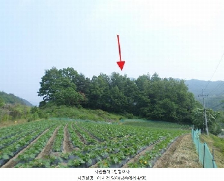 2025타경20611 강원특별자치도 횡성군 공근면 어둔리 산86 임야 경매 이미지