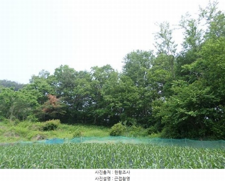 2025타경20611 강원특별자치도 횡성군 공근면 어둔리 산86 임야 경매 이미지
