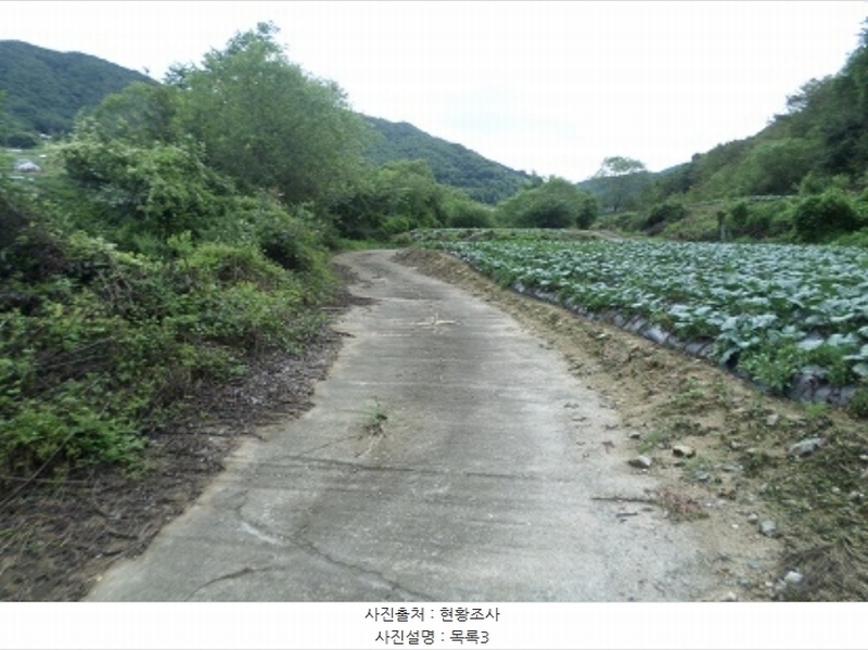2024타경1783 강원특별자치도 횡성군 둔내면 조항리 524-8 농지 경매 이미지