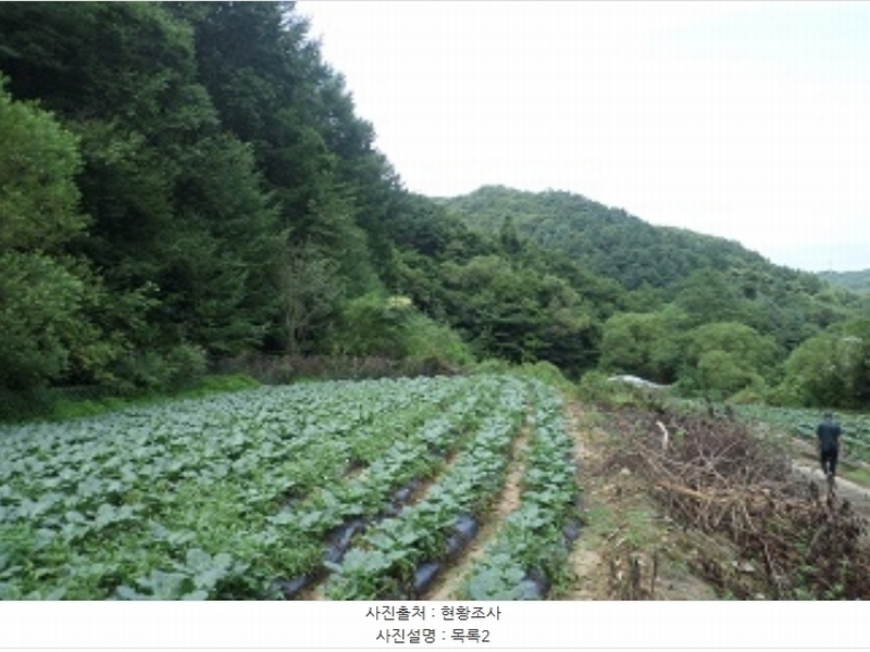 2024타경1783 강원특별자치도 횡성군 둔내면 조항리 524-8 농지 경매 이미지