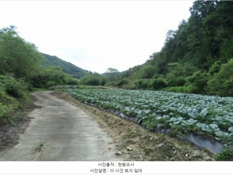 2024타경1783 강원특별자치도 횡성군 둔내면 조항리 524-8 농지 경매 이미지