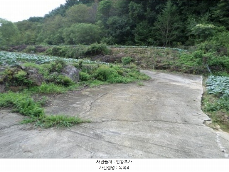 2024타경1783 강원특별자치도 횡성군 둔내면 조항리 524-8 농지 경매 이미지