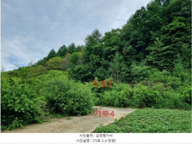 2024타경1783 강원특별자치도 횡성군 둔내면 조항리 524-8 농지 경매 이미지