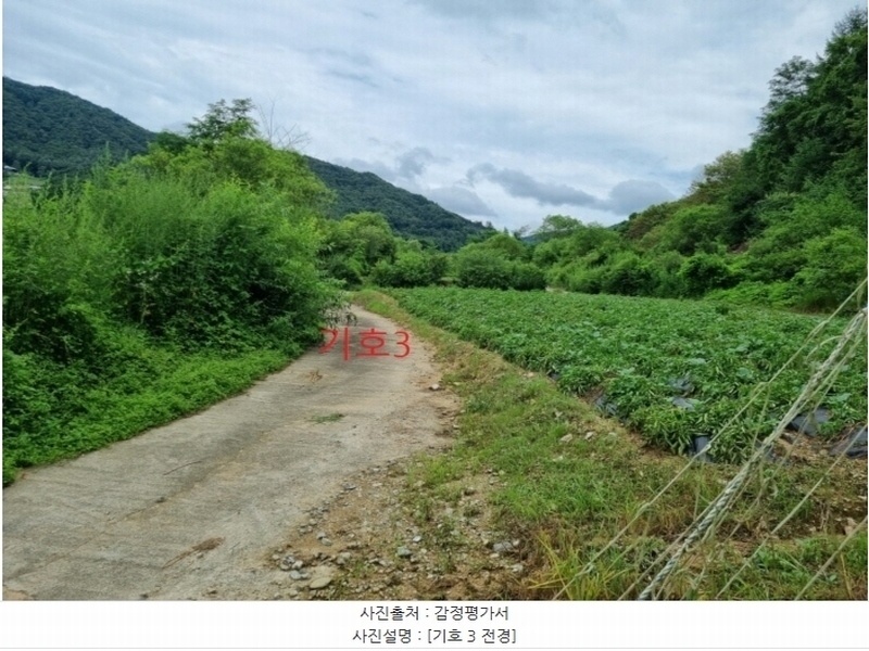 2024타경1783 강원특별자치도 횡성군 둔내면 조항리 524-8 농지 경매 이미지