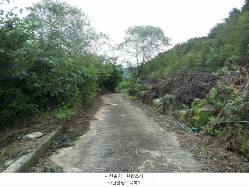 2024타경1783 강원특별자치도 횡성군 둔내면 조항리 524-8 농지 경매 이미지