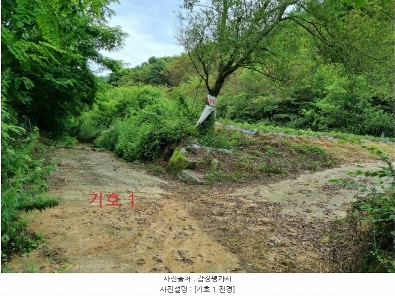2024타경1783 강원특별자치도 횡성군 둔내면 조항리 524-8 농지 경매 이미지
