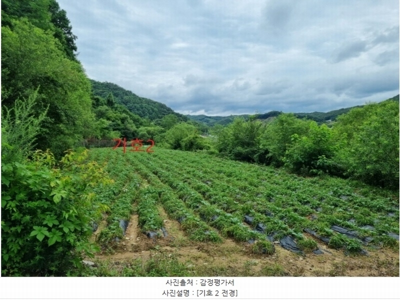 2024타경1783 강원특별자치도 횡성군 둔내면 조항리 524-8 농지 경매 이미지